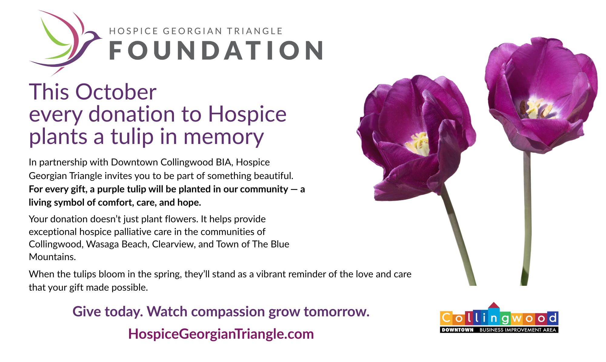 Copy of On the Bay Ad - Tulip Campaign (10.5 x 6.285 in)