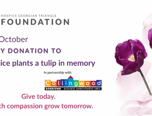 Donations to hospice this month prompt tulip planting around Collingwood